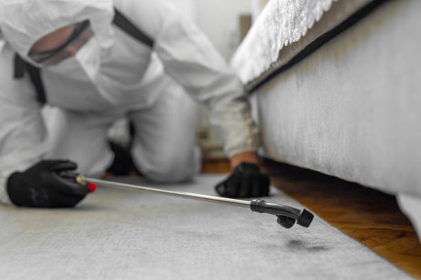 Professional Termite Control technician working in St. Lawrence, PA